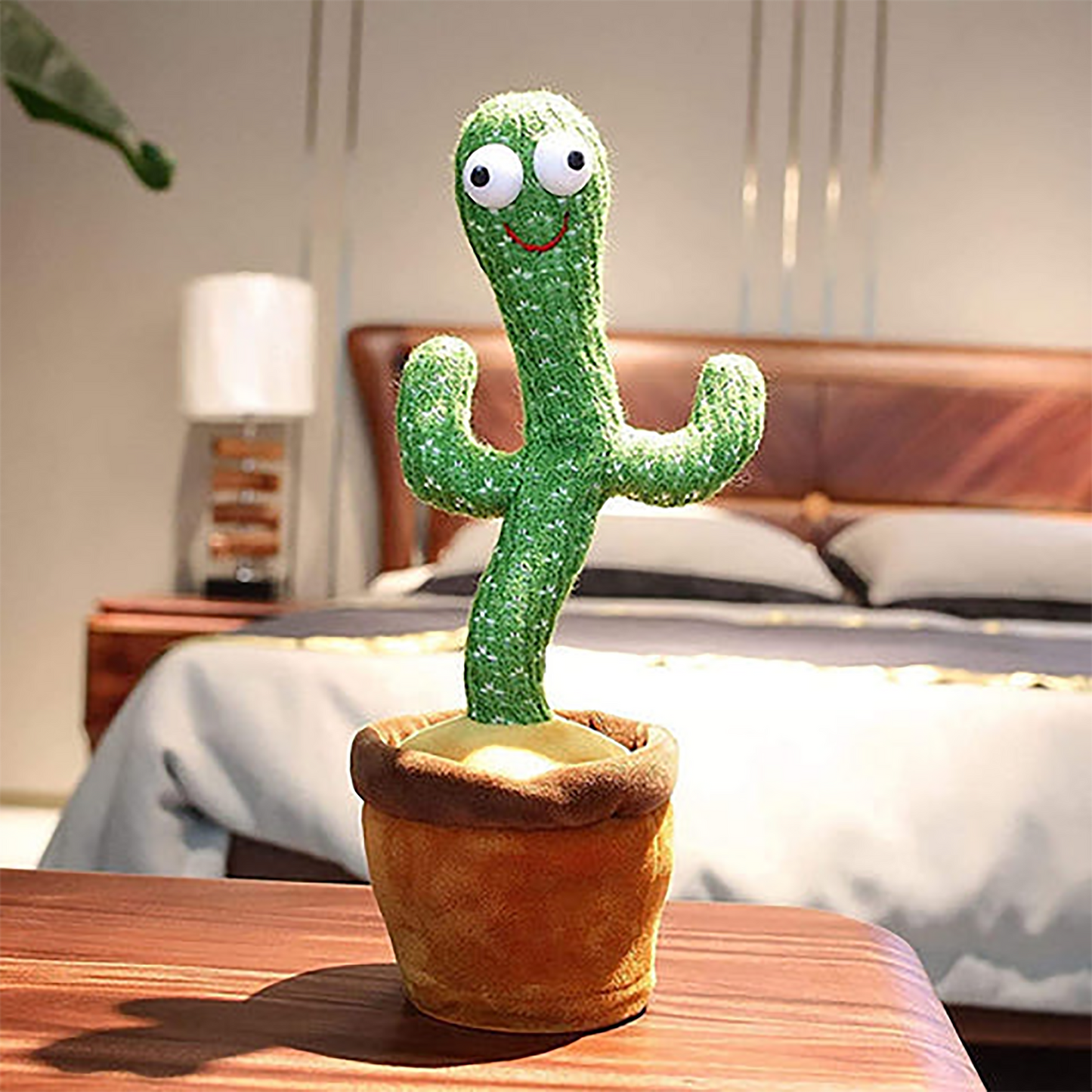 CACTUS BAILARÍN